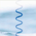 Craniosacral Therapie