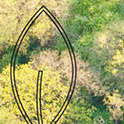 Phytotherapie